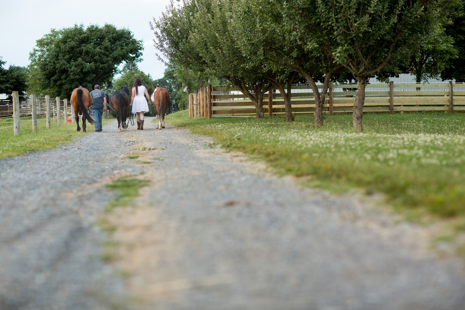 fun engagement photos at a horse farm